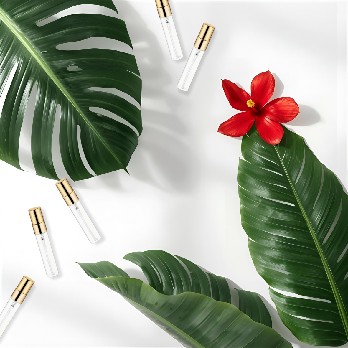 Bestsellers Discovery Kit