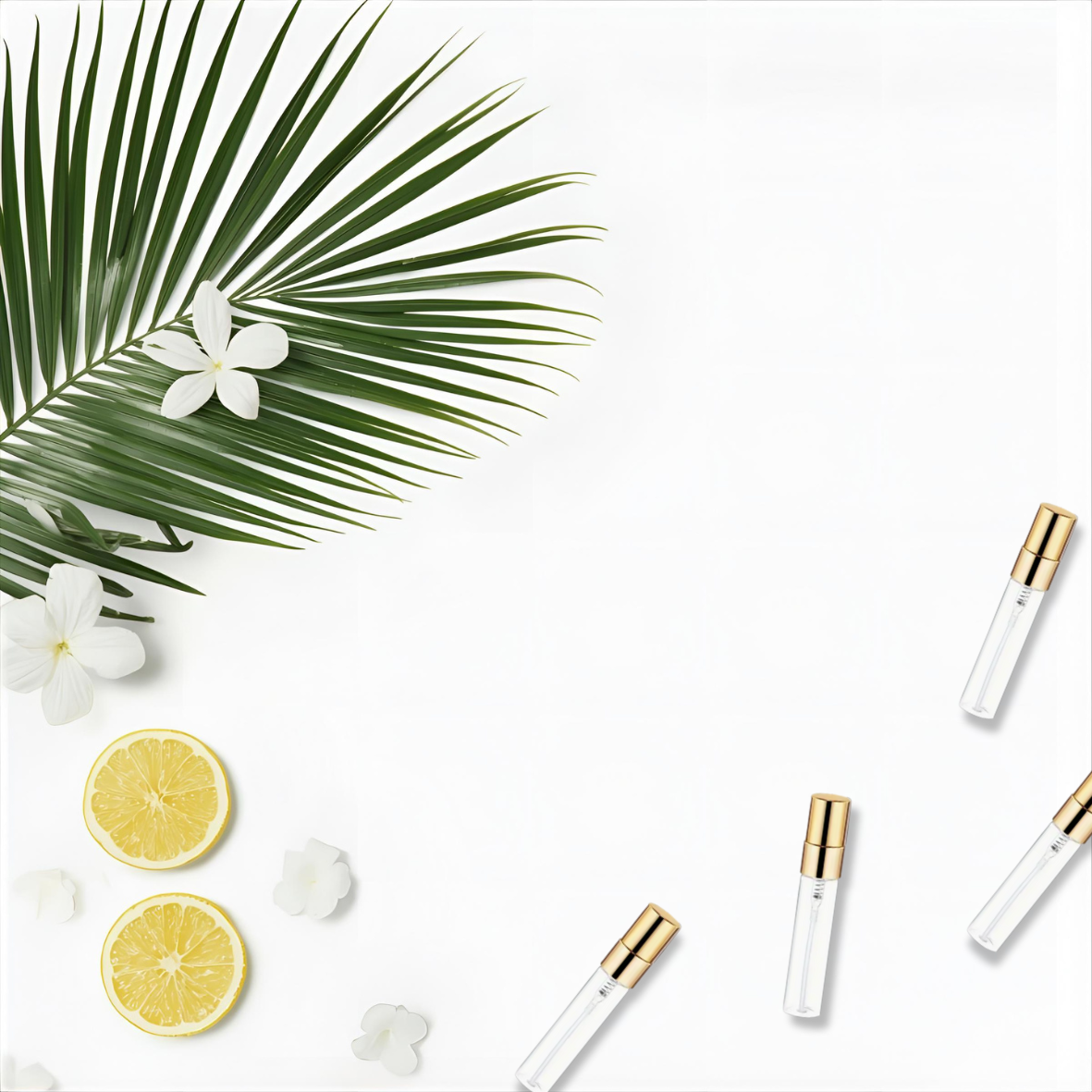 Botanicals Discovery Kit