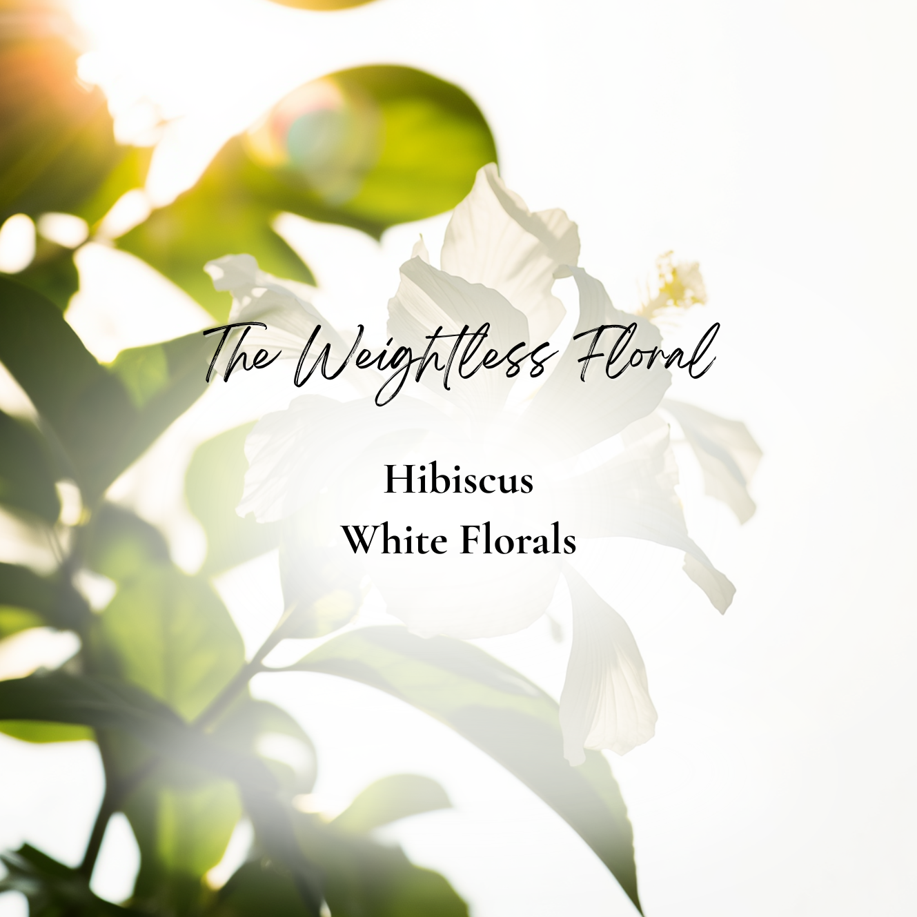 White Hibiscus Eau de Parfum 100ml
