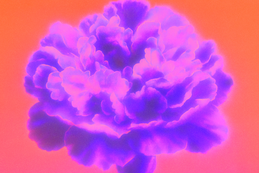 Why Does Perfume Smell Different on Different People? Skin Chemistry Explained