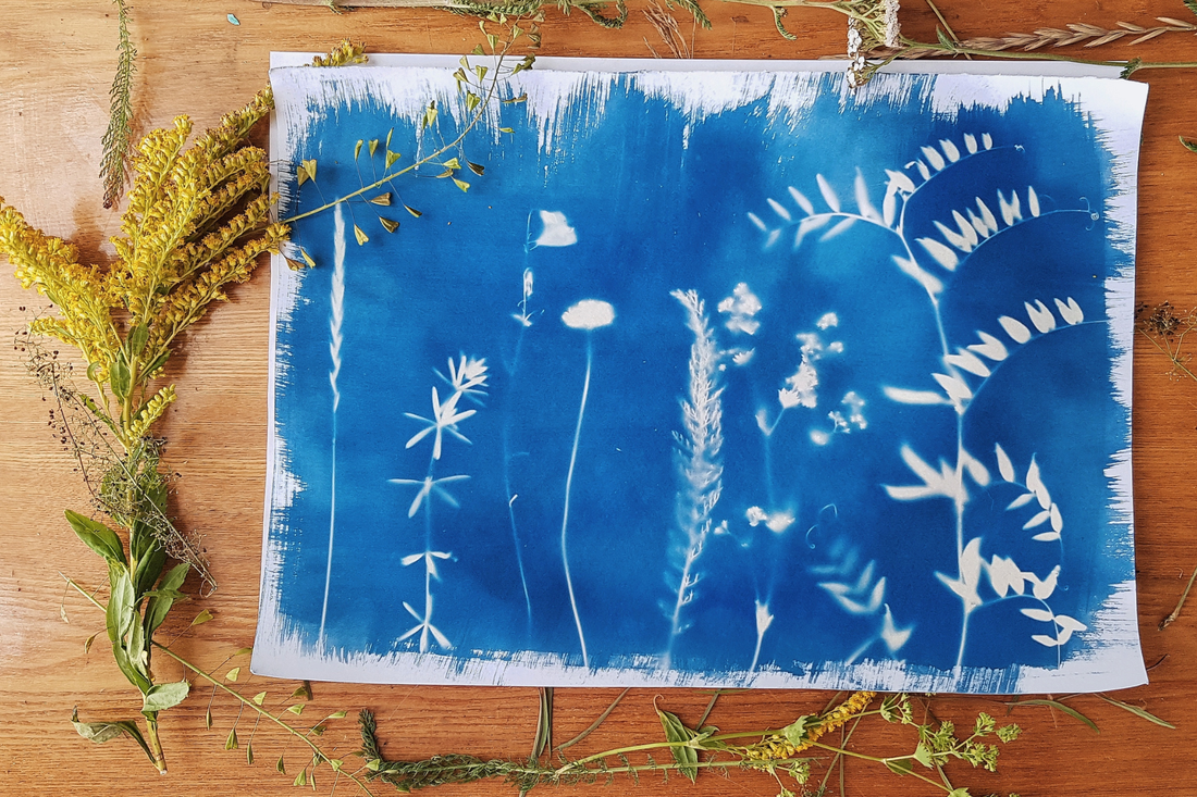 When “Natural Perfume” Isn’t Always What You Think: The Rise of Clean Fragrance in South Africa